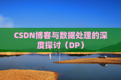 CSDN博客与数据处理的深度探讨（DP）